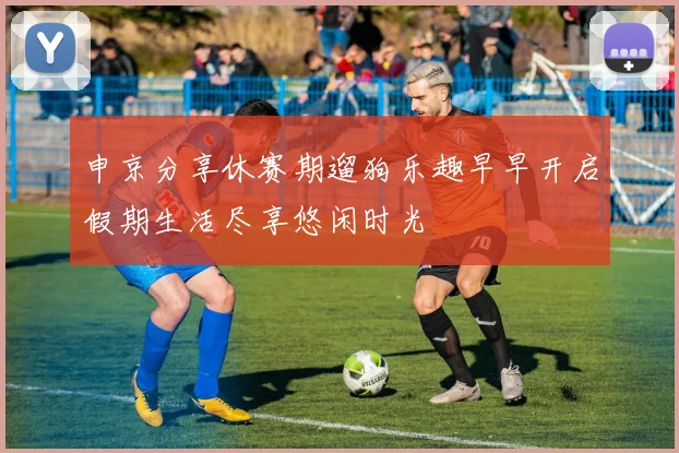 申京分享休赛期遛狗乐趣早早开启假期生活尽享悠闲时光